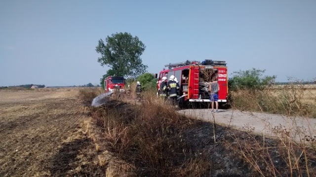 Pożar rowu w Karolewie (fot. OSP Rogoźno)