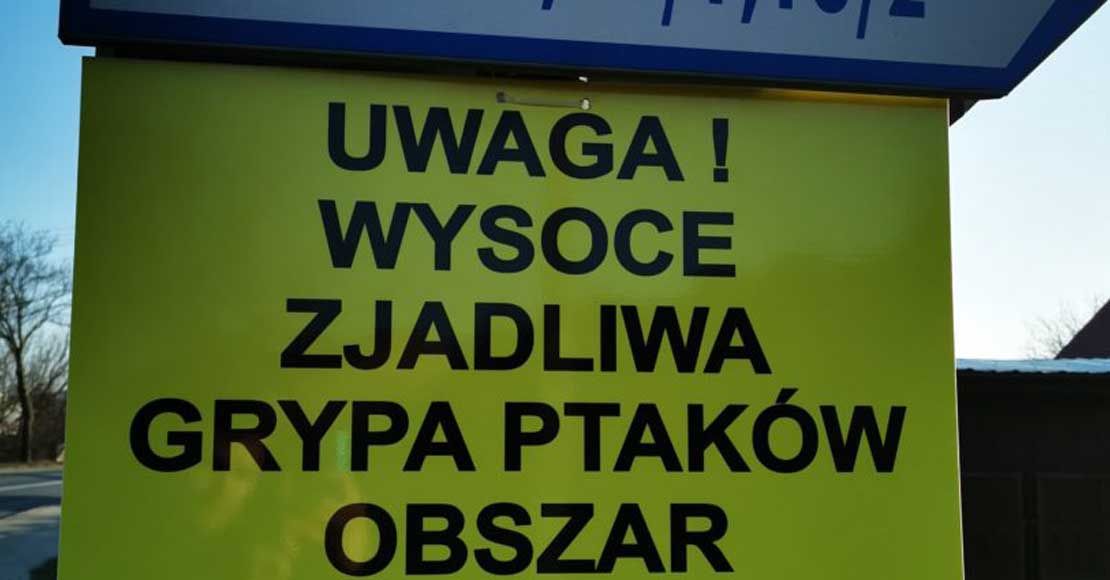 foto: mojewronki.pl