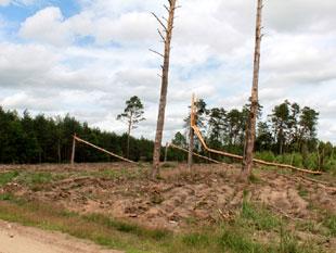 stanowisko w sprawie polityki klimatycznej