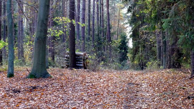 Fundusz do walki ze zmianą klimatu?