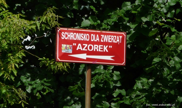 Wszyscy są przeciw Azorkowi