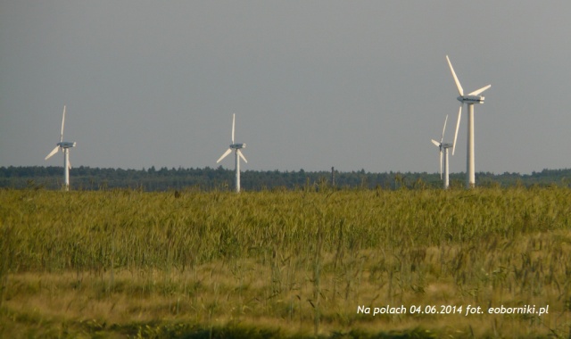 Elektrownie wiatrowe w Polsce