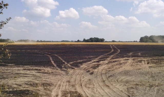 Kolejny pożar zboża (OSP Rogoźno)