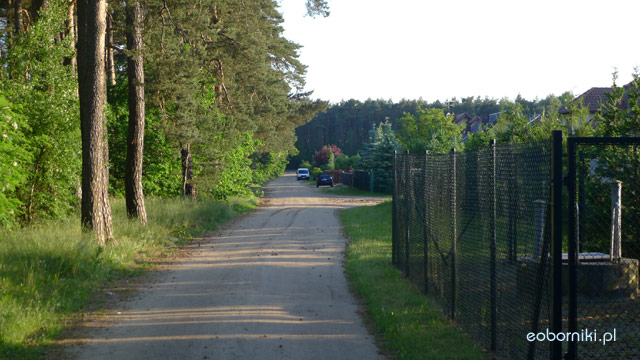 Będzie oświetlenie na ul. Szymanowskiego w Rożnowie
