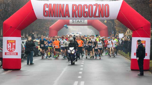 rogozno 9m