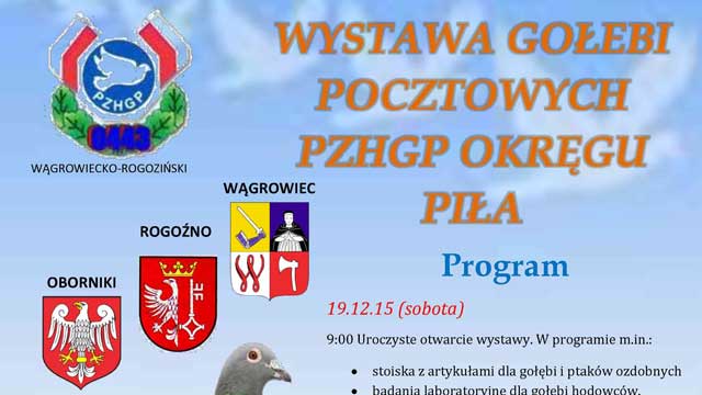 wystawa okręgowa plakat m