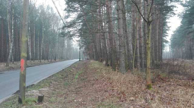 IMG 20160308 084726
