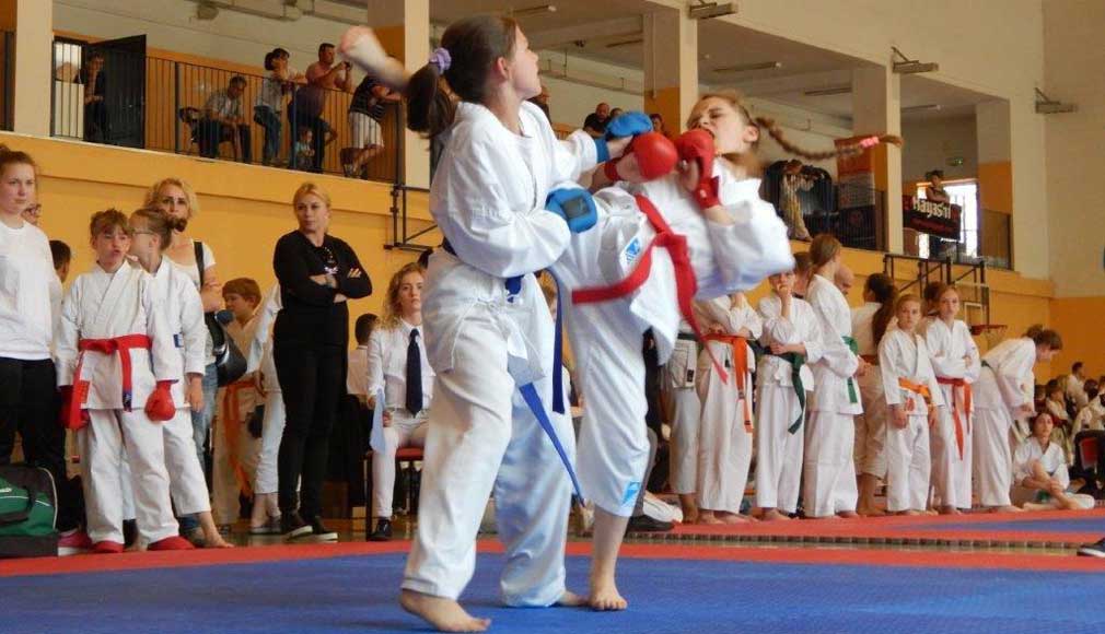 karate 1