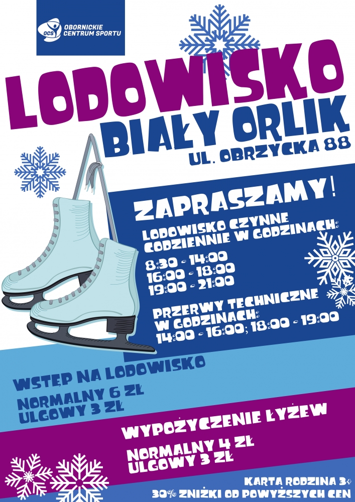 lodowisko plakat