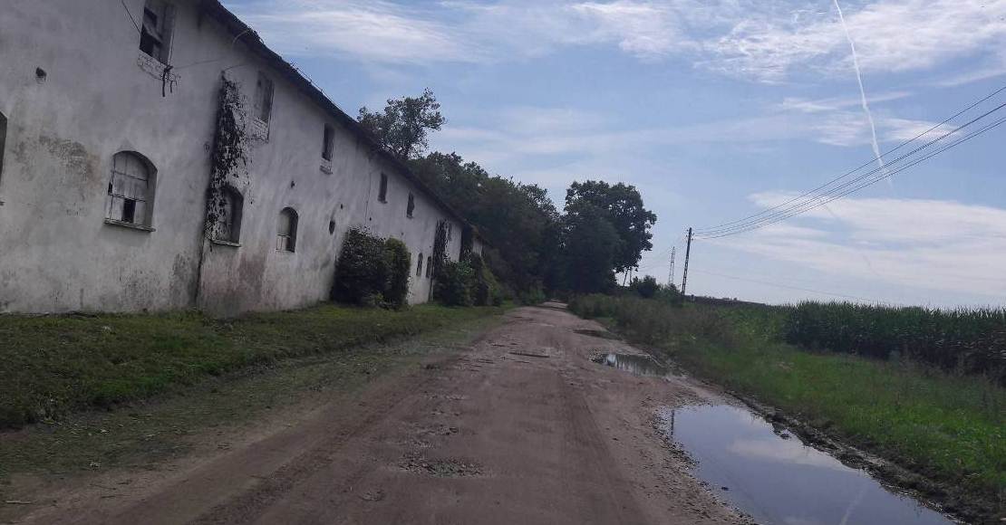 ul. Zernicka w Roznowie