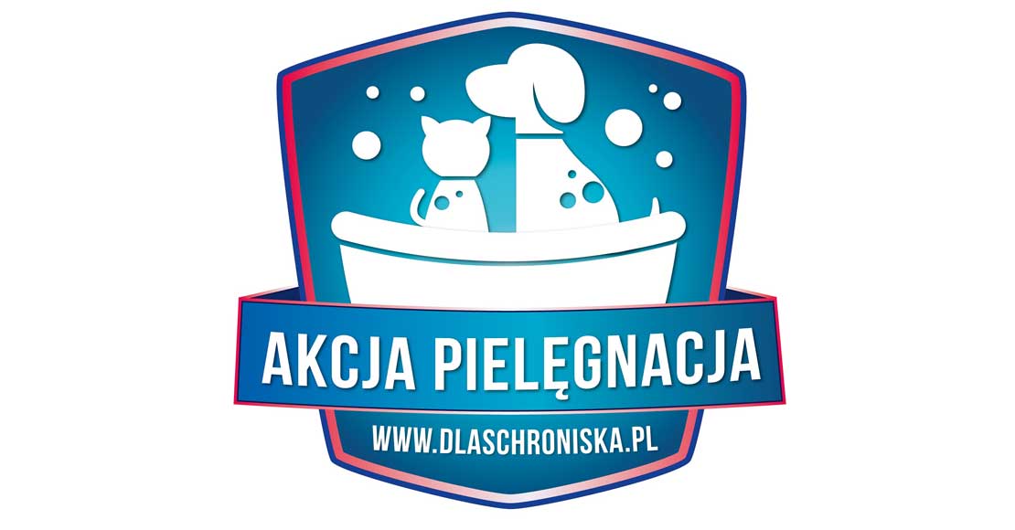 bezdomnych zwierzak&oacute;w z Obornik