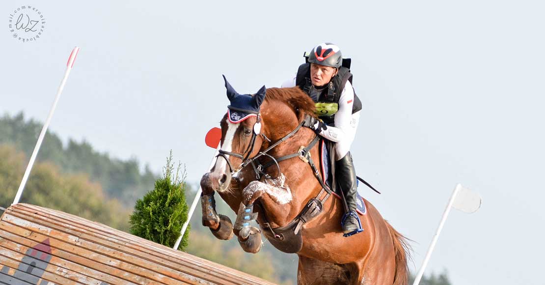 Baborówko Horse Sale Show 2017 od 29.09.2017! Baborówko Horse Sale Show 2017 od 29.09.2017!