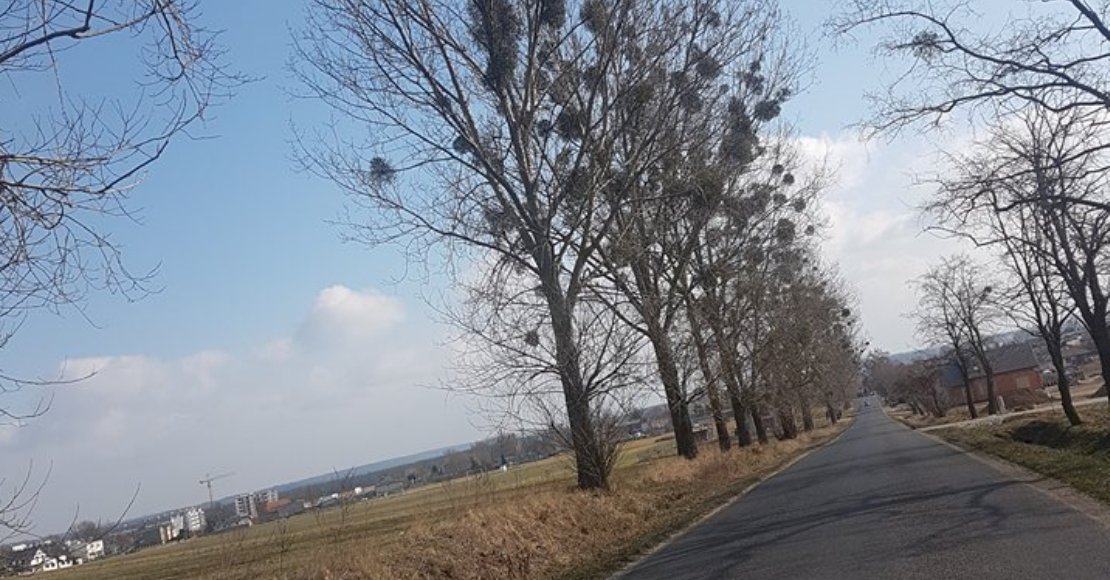 bedzie sciezka rowerowa w bogdanowie