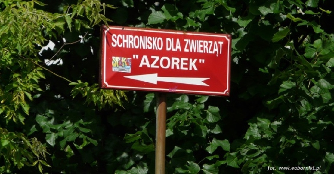 w czwartek podpisanie umowy na modernizacje schronisko azorek eoborniki