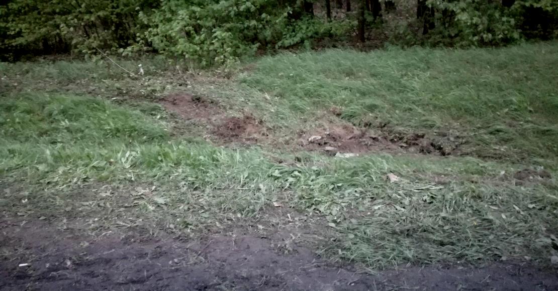 prusce dachowanie pojazdu osobowego