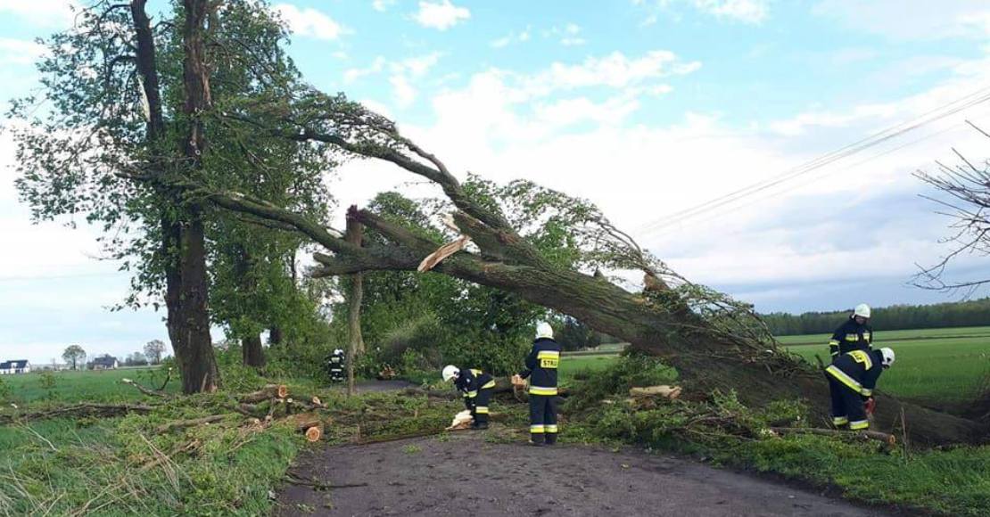 10 interwencji strazakow z gminy rogozno osp rogozno roznowo ul. zernicka