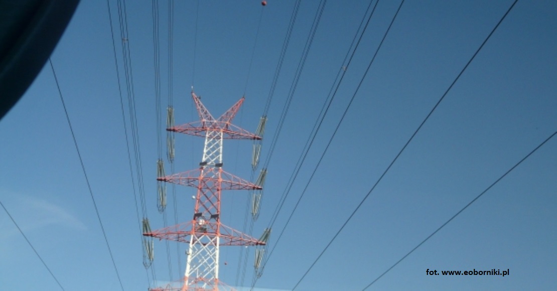 budowa linii energetycznej pila krzewina plewiska