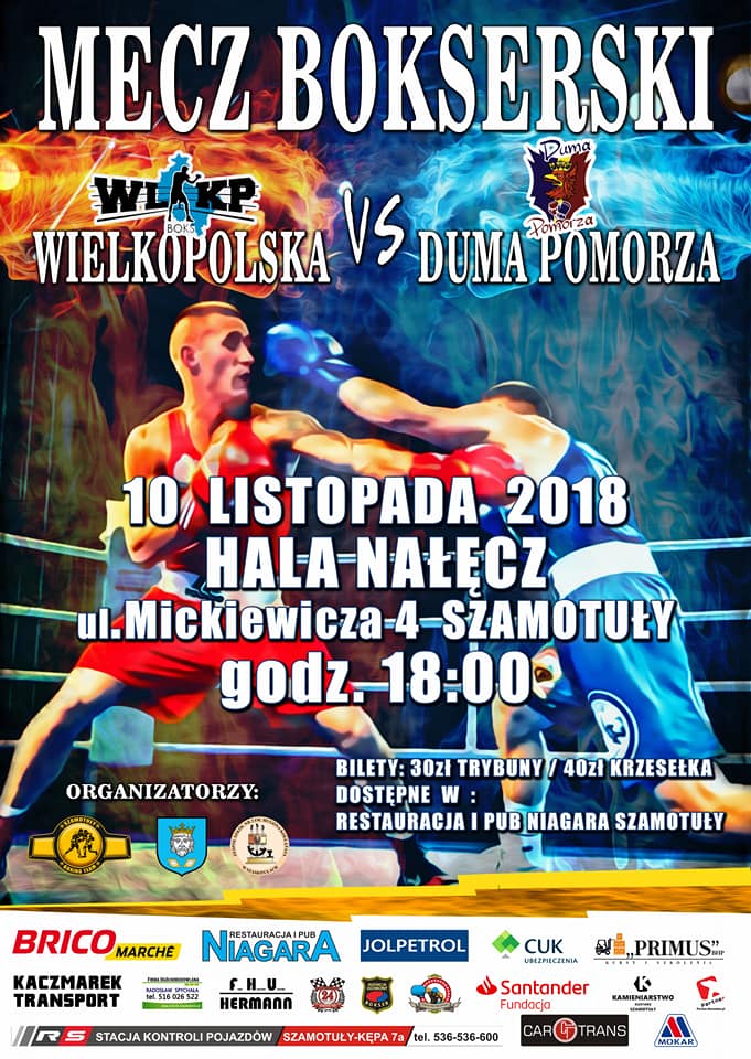 boks szamotuły plakat