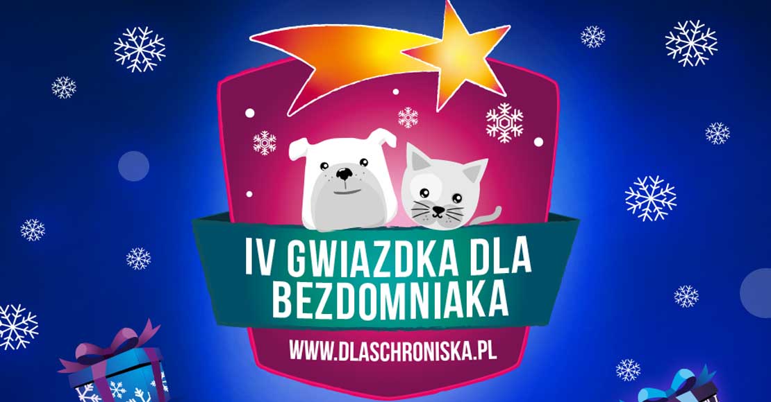 Pomóż zebrać jeszcze więcej karmy dla bezdomniaków z Obornik