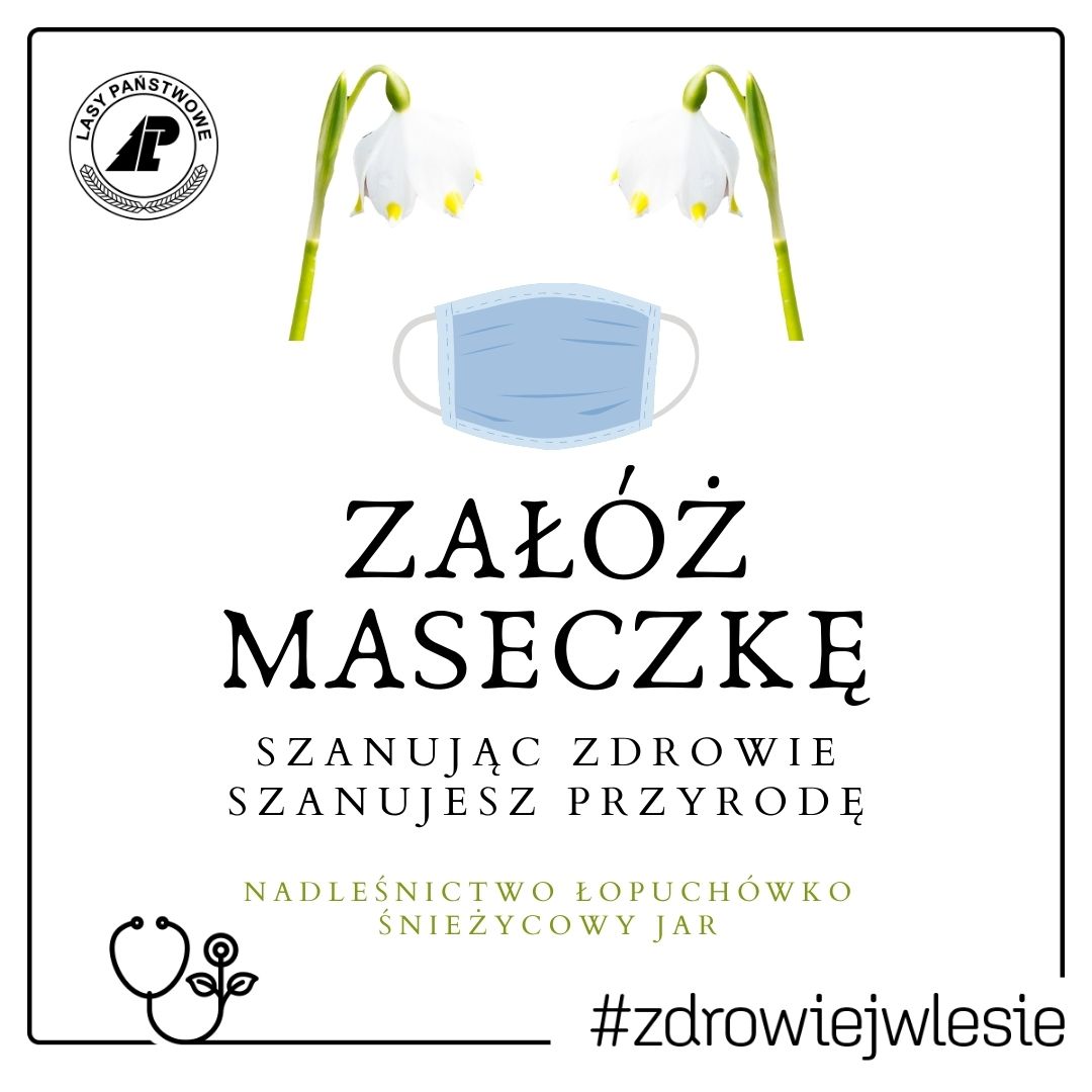 ZAŁÓŻ MASECZKĘ autor: Nadleśnictwo Łopuchówko