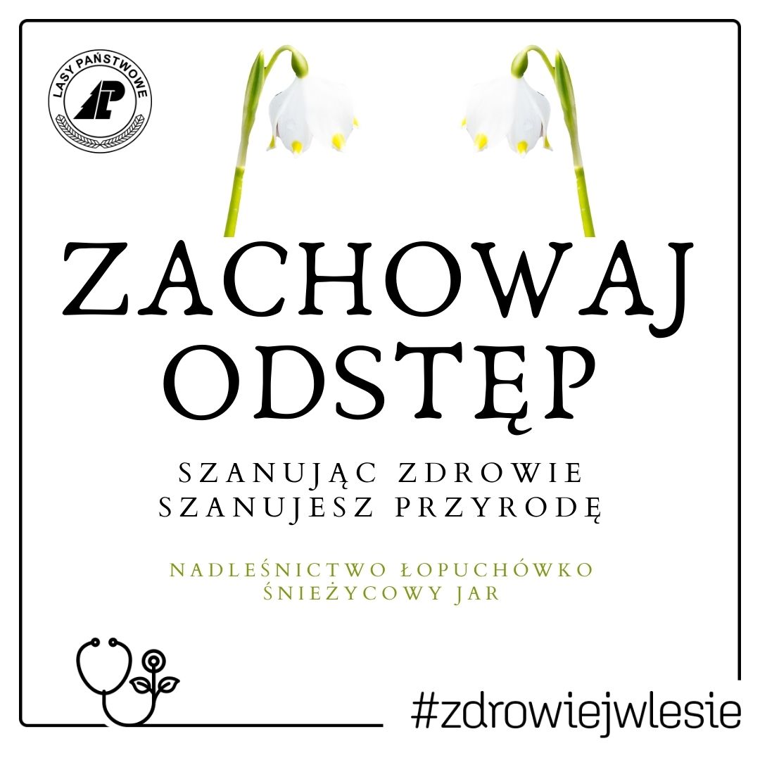 ZACHOWAJ ODSTĘP autor: Nadleśnictwo Łopuchówko