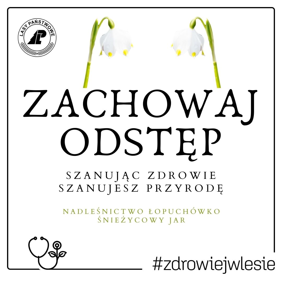 ZACHOWAJ ODSTĘP autor: Nadleśnictwo Łopuch&oacute;wko