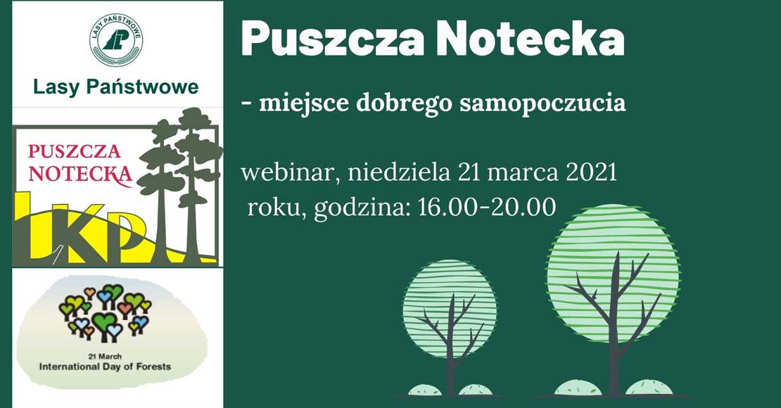 Puszcza Notecka – miejsce dobrego samopoczucia