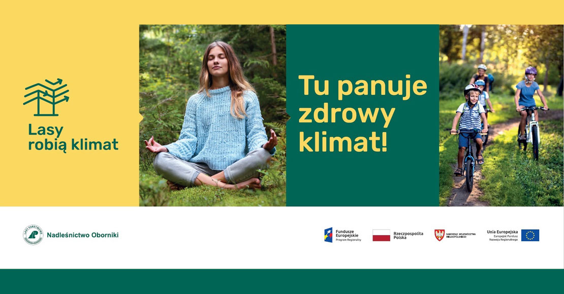 Z lasu wzięte…. zdrowy klimat
