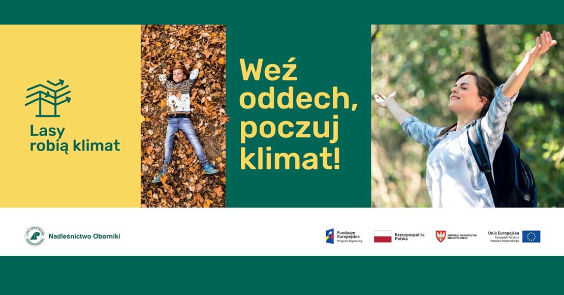 Z lasu wzięte… weź oddech