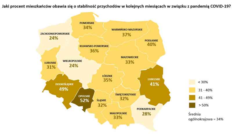 Wykres Obawy o stabilność przychodów 002