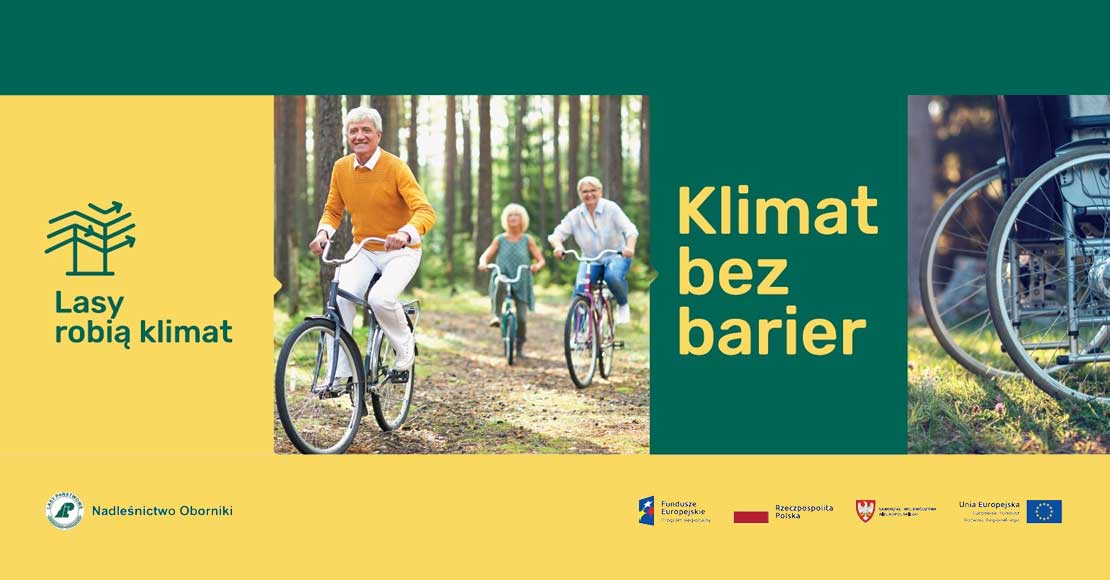 Z lasu wzięte… windą do "lasu"