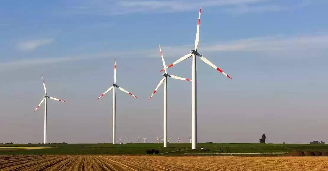 Energetyka inwestuje w ochronę ptaków
