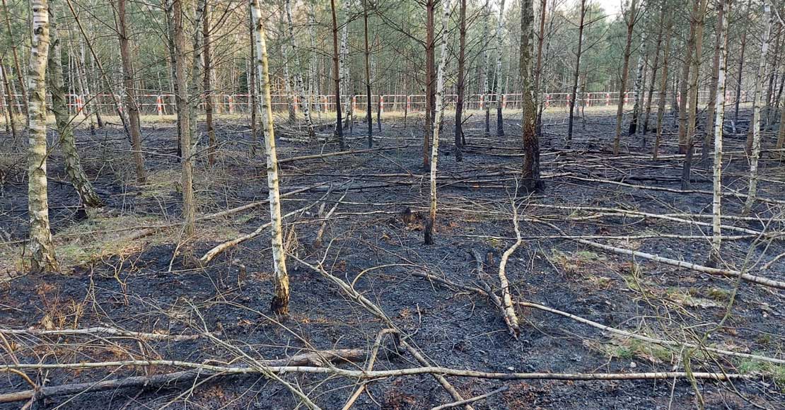 Rośnie zagrożenie pożarowe w lasach.