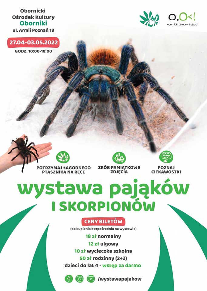 wystawapajokow2