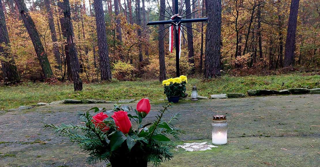 Włóczykije w Rożnowicach