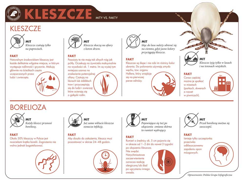 kleszcze infografika