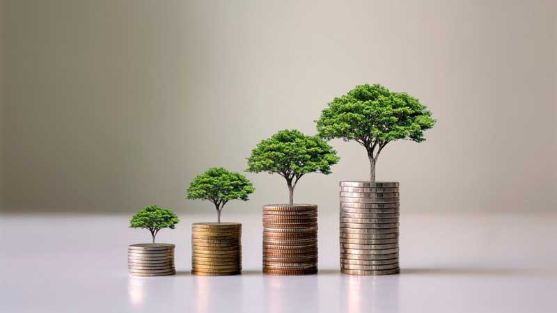 monety z ktorych wyrastaja drzewa inwestowanie