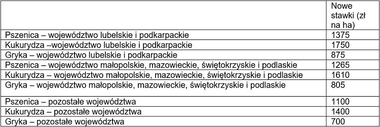 stawki
