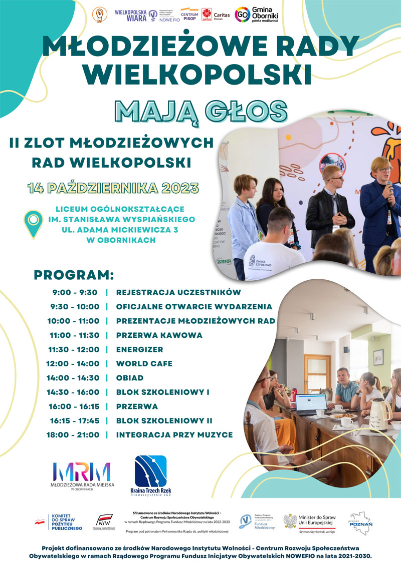 Młodzieżowe Rady Wielkopolski mają głos Plakat A3 w pionie 1 002
