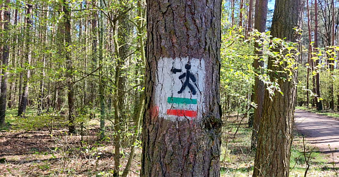 Majowa aktywność fizyczna!