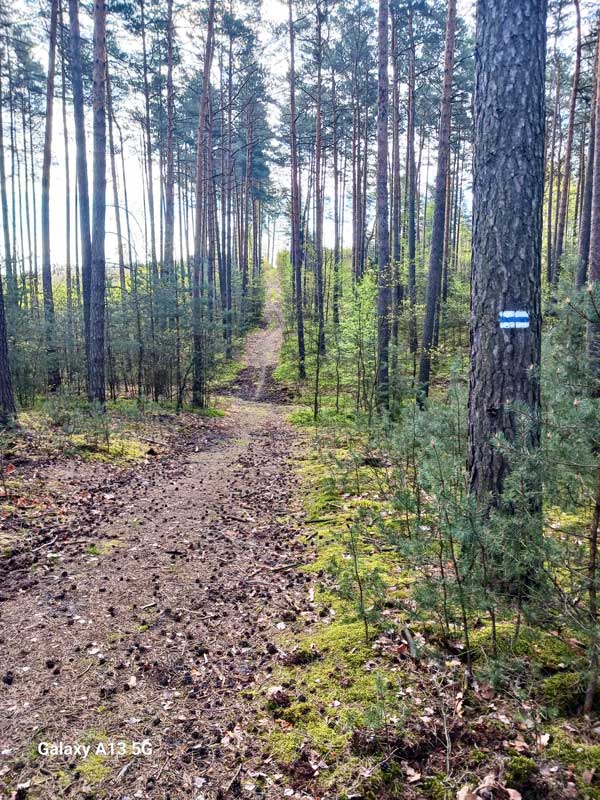 Oborniki Sniezka 5