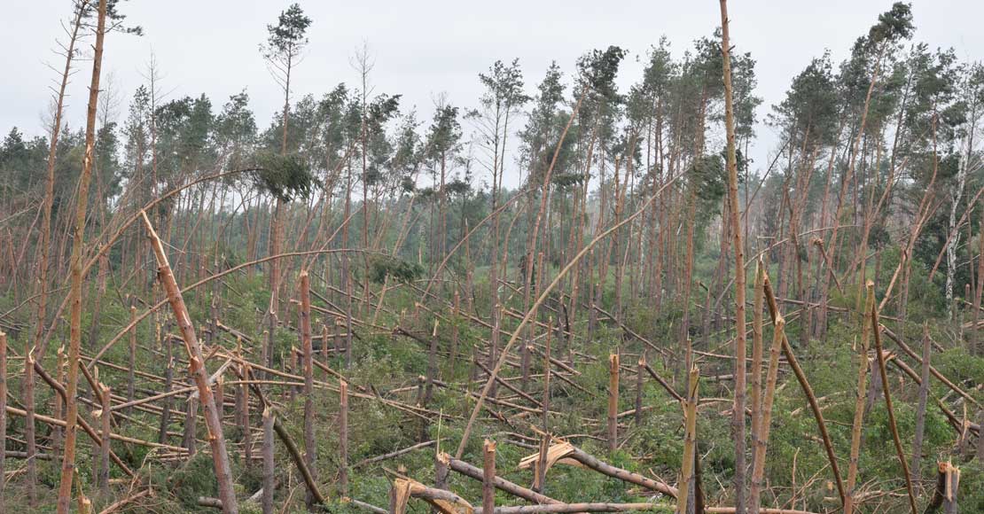 Zdjęcie z 08.2017 - huragan 1000-lecia