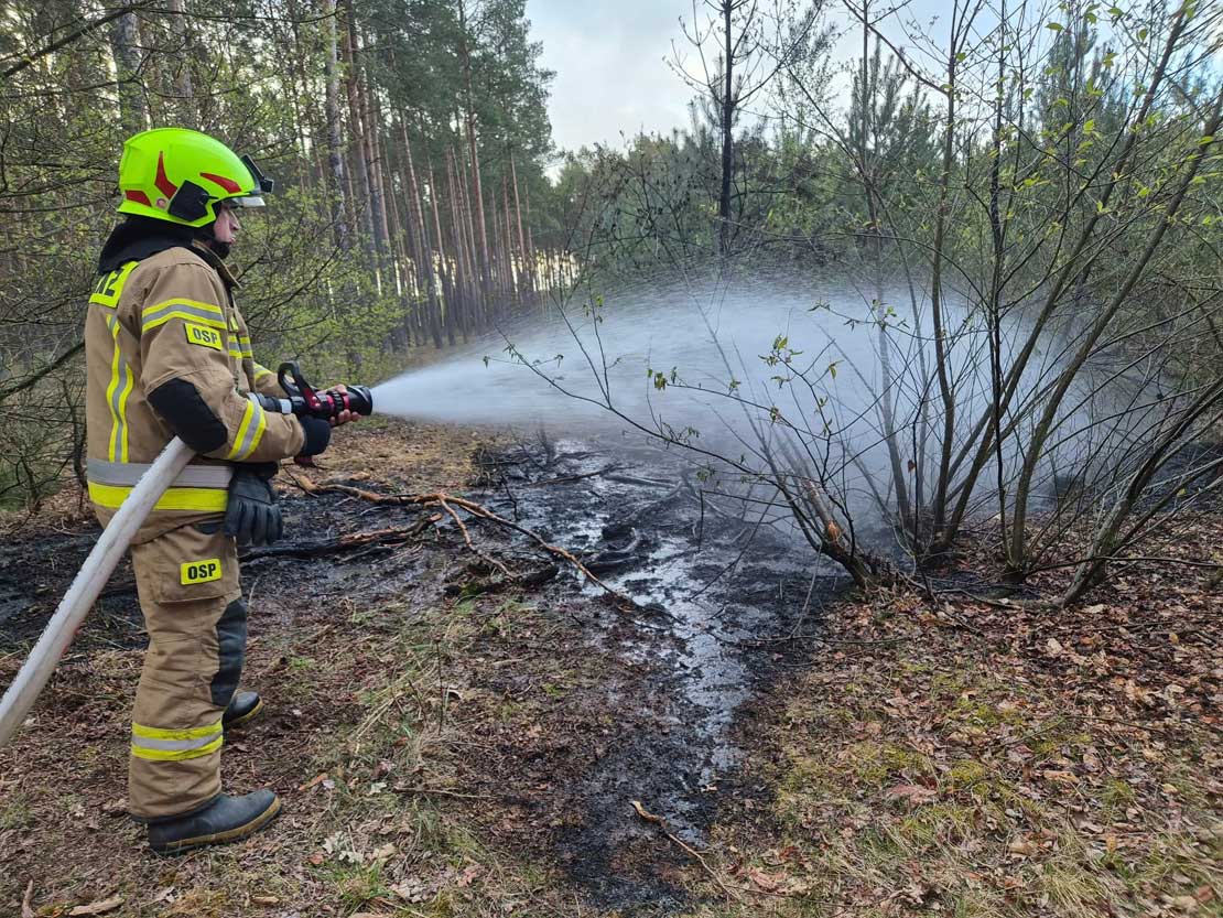 foto: Nadleśnictwo Sieraków