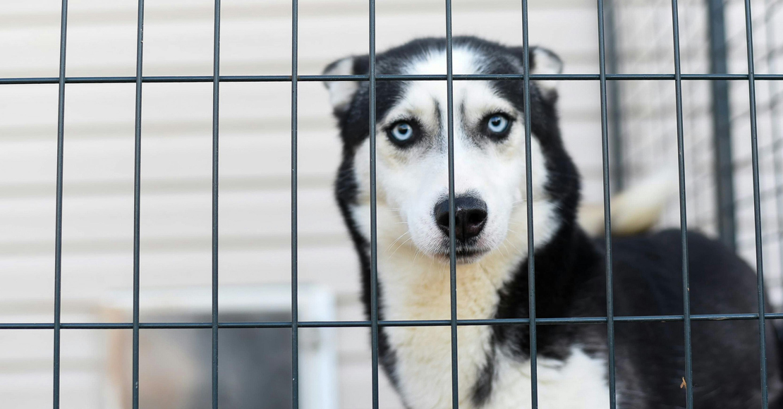 Zdjęcie Julissa Helmuth/pexels.com/