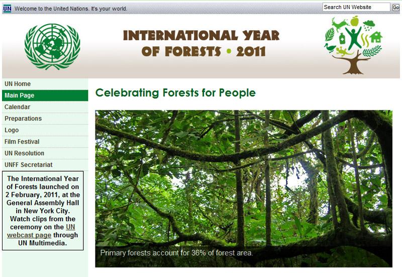 www.un.org/en/events/iyof2011/