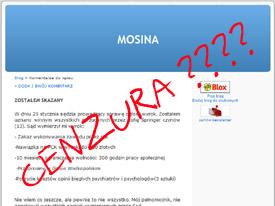 http://mosina.blox.pl/