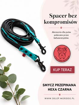 Szarpaki, smycze, szelki, linki treningowe dla psa - MgrDog