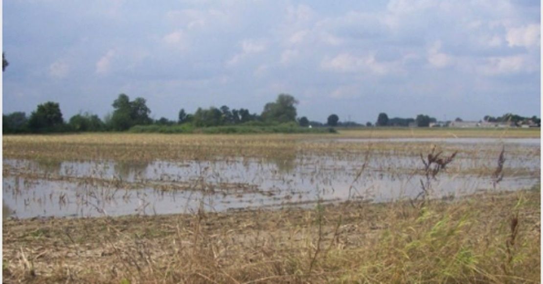 Podtopione pole? Zgłoś szkodę!