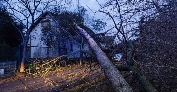 foto: OSP Dąbrówka Leśna