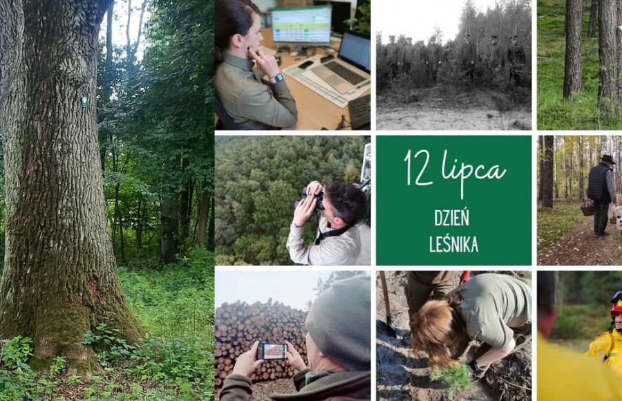 foto: eoborniki + RDLP w Poznaniu